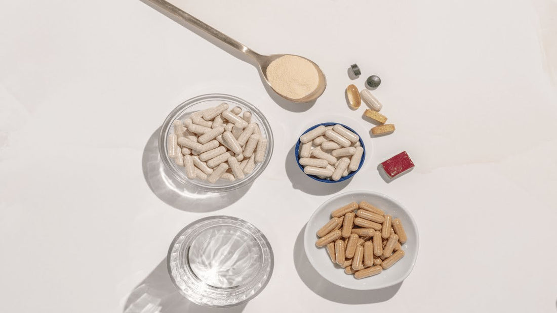 What Is 4Life Transfer Factor®? The Immune Support Breakthrough Backed by Science